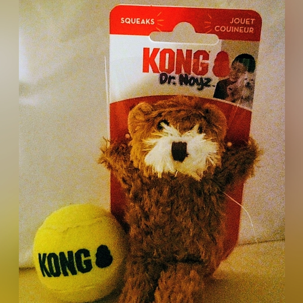 New Dog Toy KONG Dr. Noys Teddy Bear Plush Extra Small 4",  Small KONG Ball